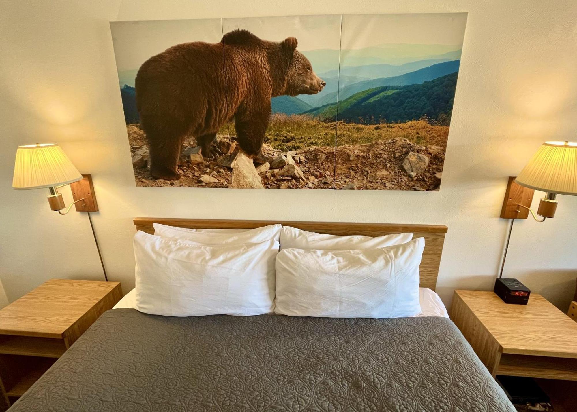 אניס Red Bear Inn מראה חיצוני תמונה